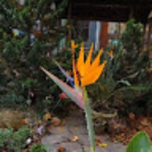 Meet your Posher, Jeremy